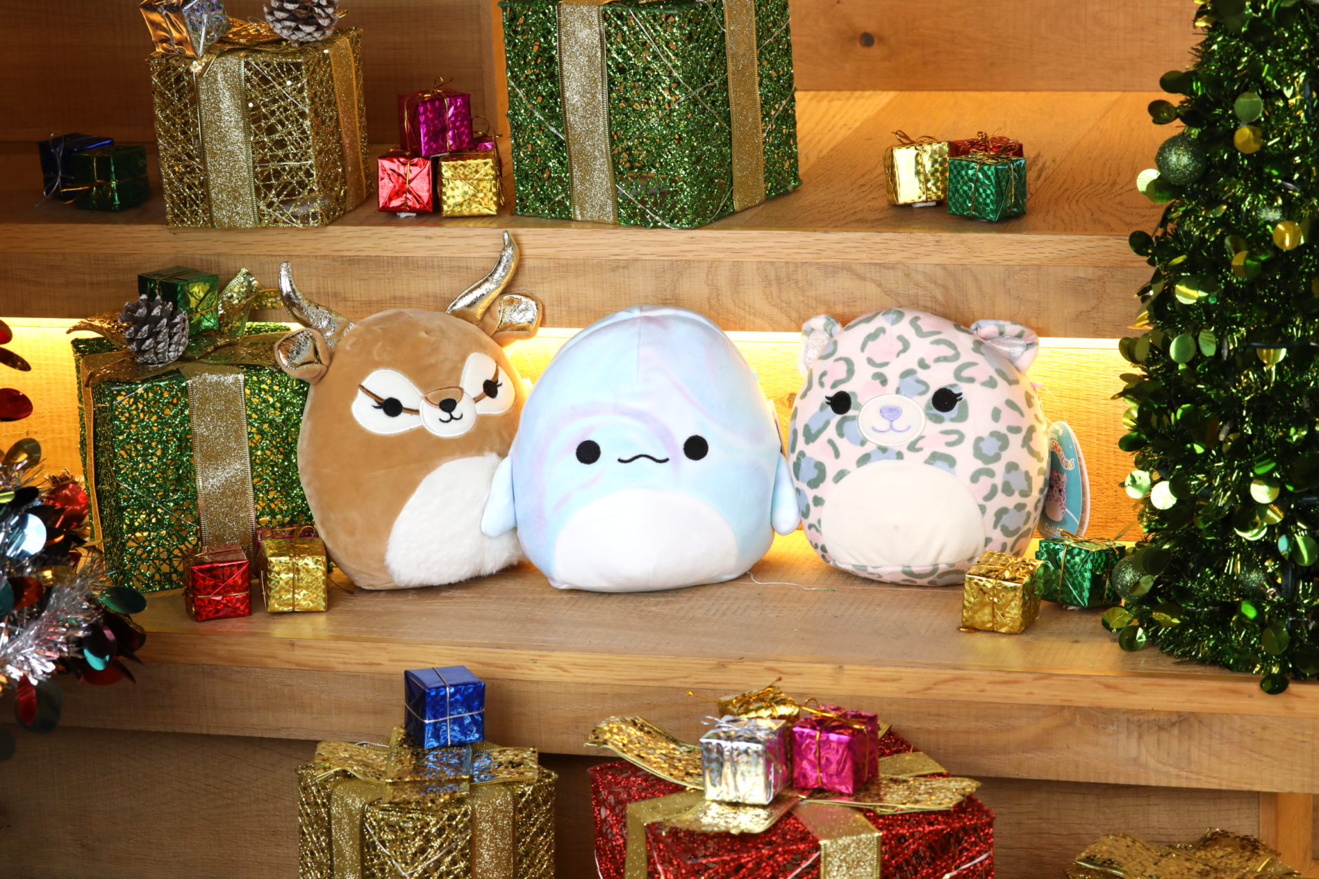 Squishmallows. Image: DreamToys