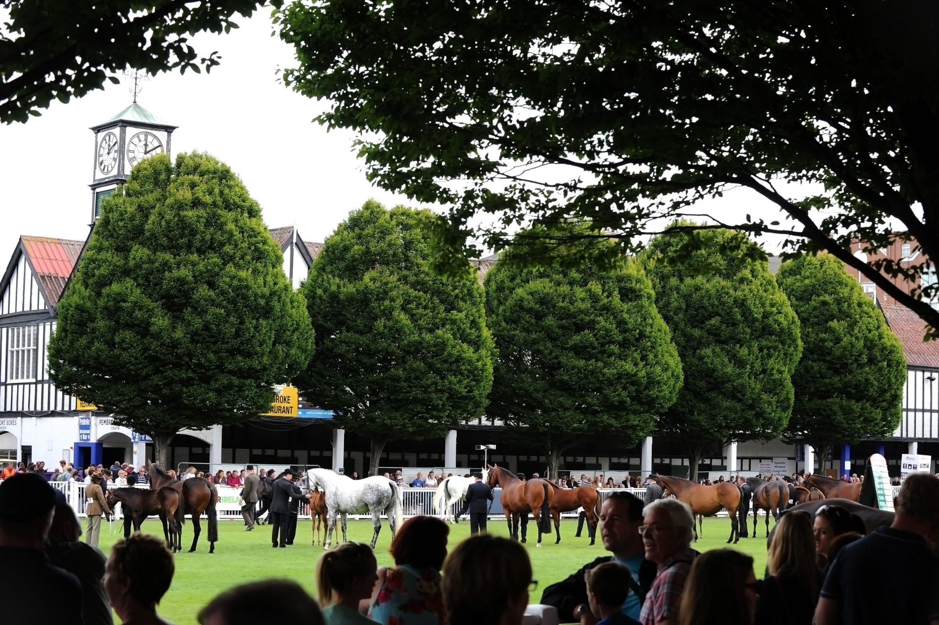 RDS Show Dublin 2013. Image: Trevor Meeks / Alamy Stock Photo